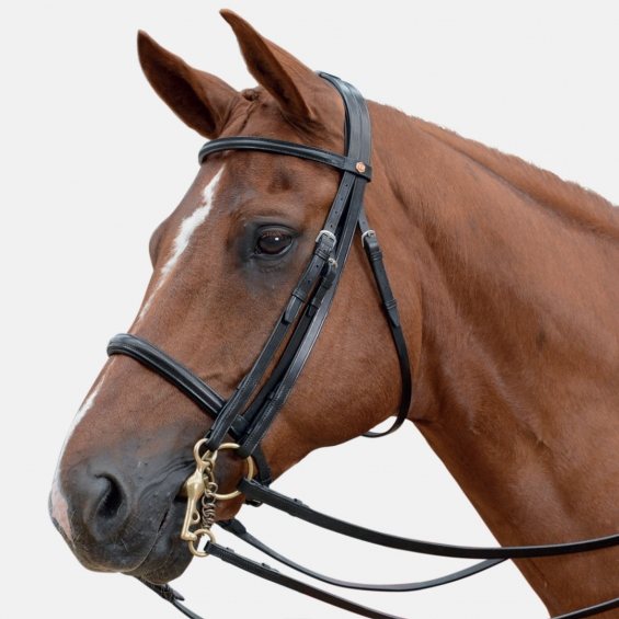 Albion Albion Complete Headstall - Competition Double (Crystal Browband)