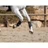 Close up of white horse galloping feet