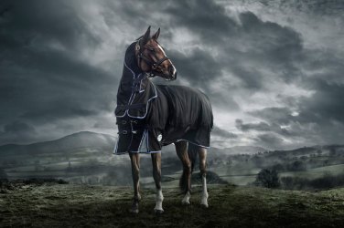 Turnout Rugs