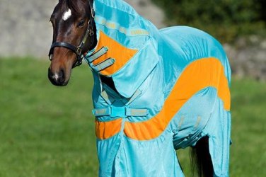 Fly Rugs