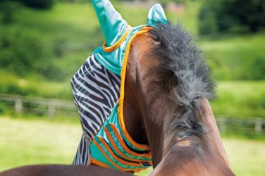 Fly Masks