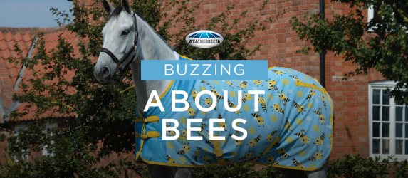Buzzing about Bees