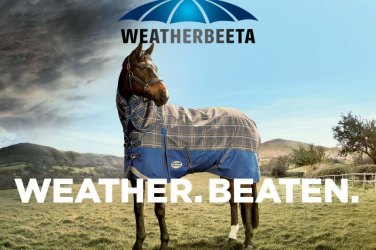 Weatherbeeta Rugs