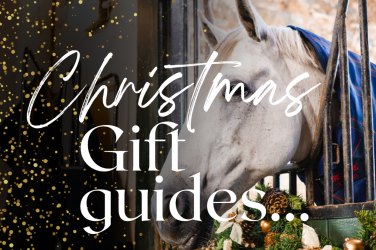 Christmas Gift Guides...