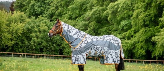 Fly Rugs & Masks
