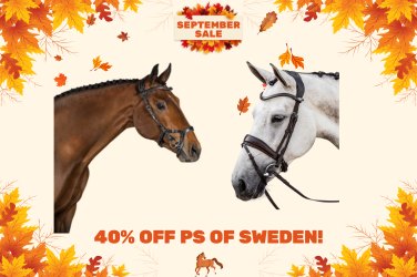 September Sale!