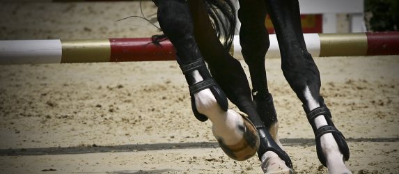 Unicorn Saddlery are now stockists for Veredus!
