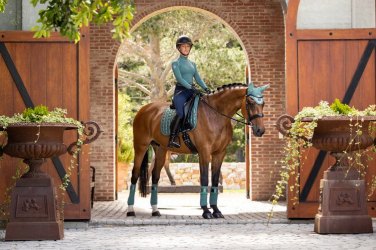Riding Wear