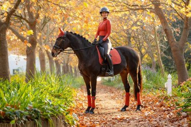 Riding Wear
