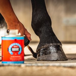 Hoof Care