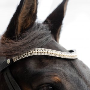 Browbands