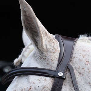 Bridle Parts