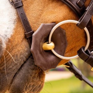 Bit Accessories