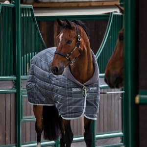 Stable Rugs