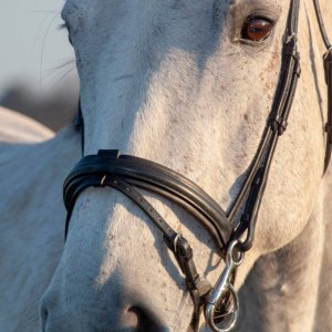 Nosebands