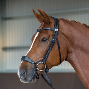 Fairfax Bridle Parts