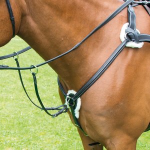 Martingales & Breastplates