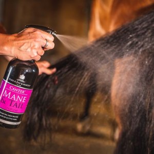 Mane & Tail Care