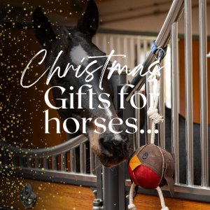 Gifts for Horses