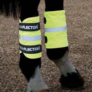 Reflective Horse Wear