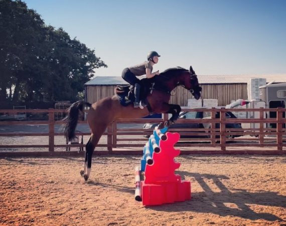 Rider on horseback jumping 