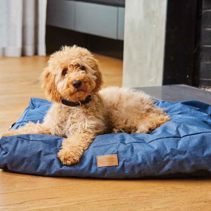Denim dog bed sales