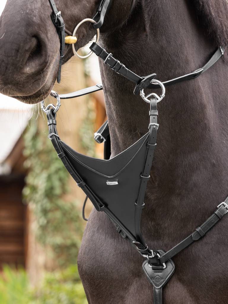 LeMieux Kudos Bib Martingale Attachment Martingales & Breastplates