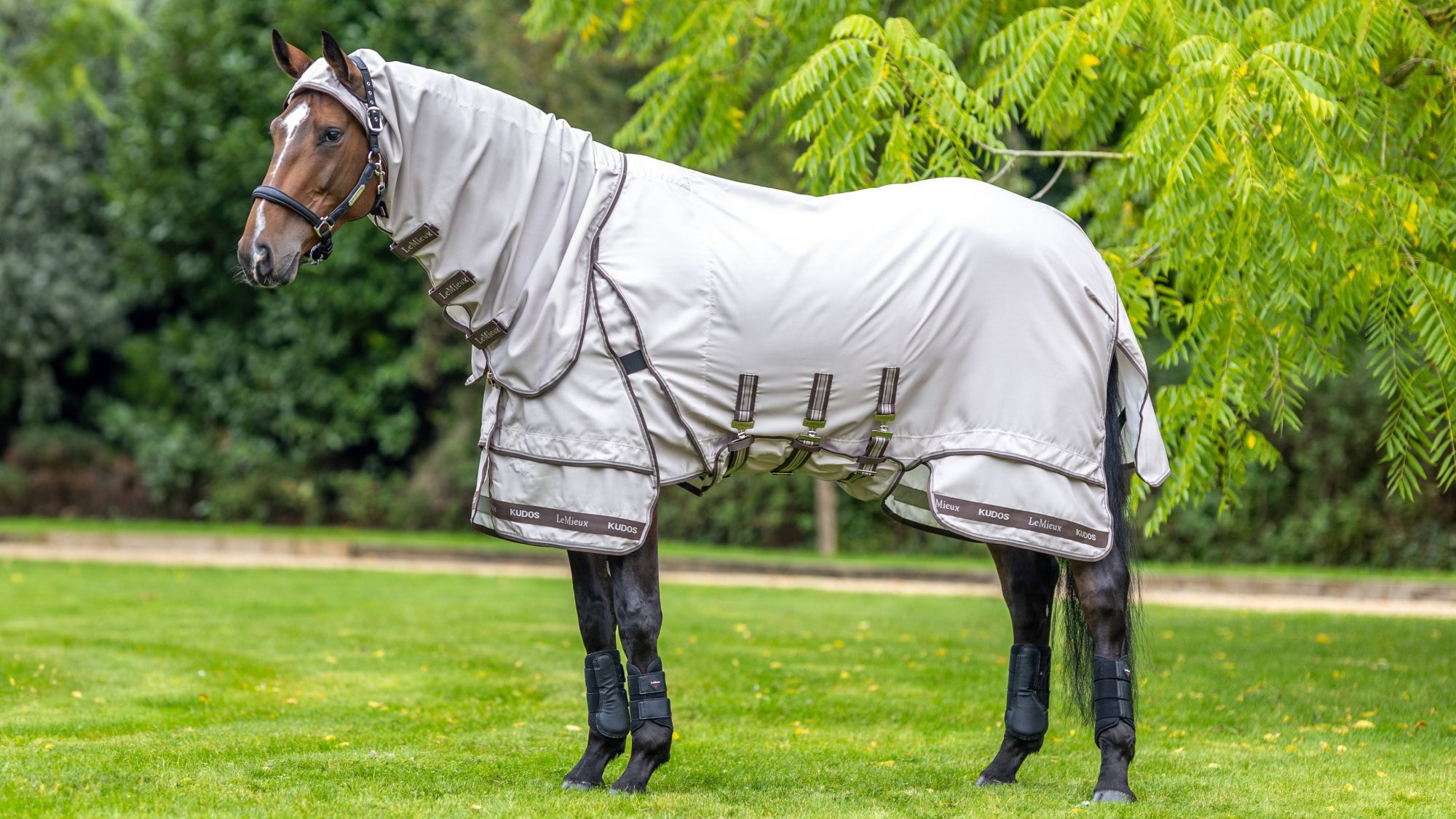 LeMieux Kudos Sweet Itch Rug Fly Rugs & Sheets Unicorn Saddlery