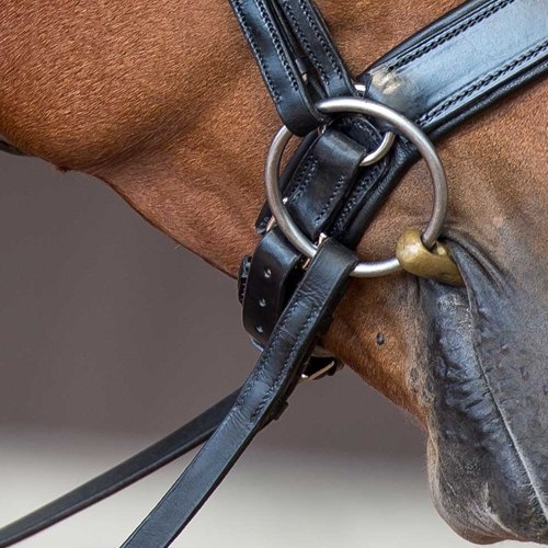 Fairfax Jowl Strap for Crank Noseband Unicorn Saddlery