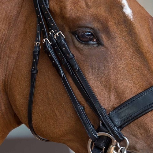 Fairfax Cheek Pieces (pair) 1/2' for Double Bridle Unicorn Saddlery