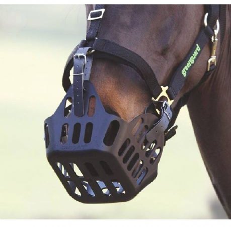 Shires Greenguard Halfter