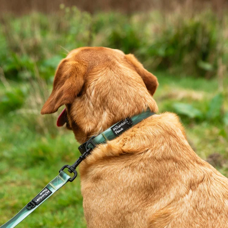 80577 80580 waterproof collar green 1