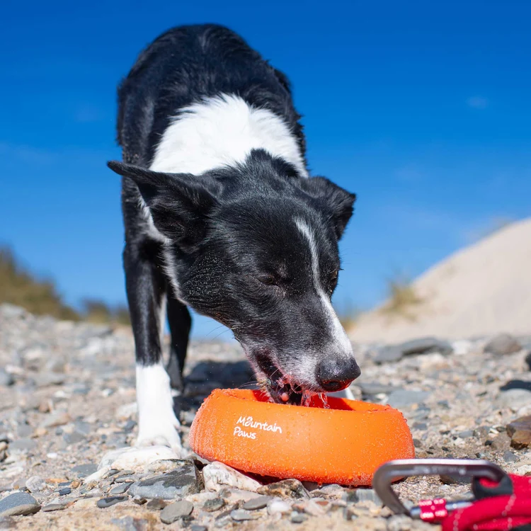 81018 splashproof bowl orange 5