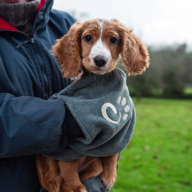 81300 muddy dog towel website 4