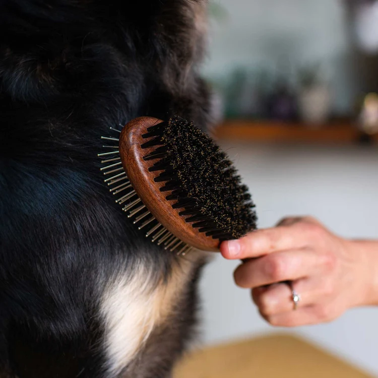 81430 double sided dog brush 4