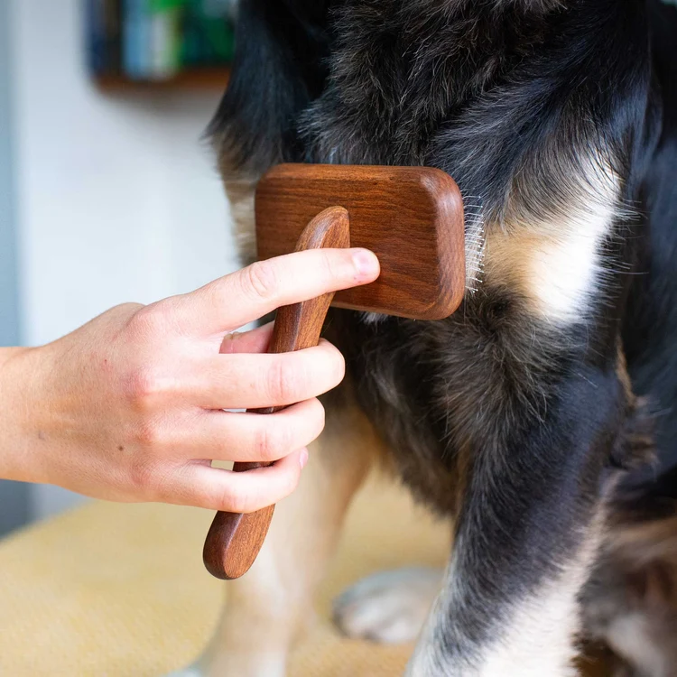 81431 dog pin brush 4