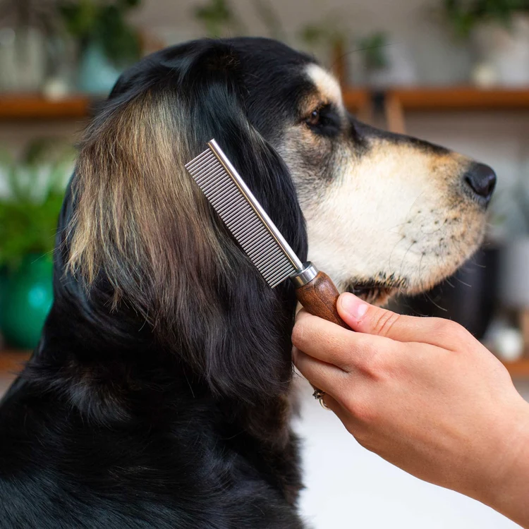 81433 dog metal comb 3