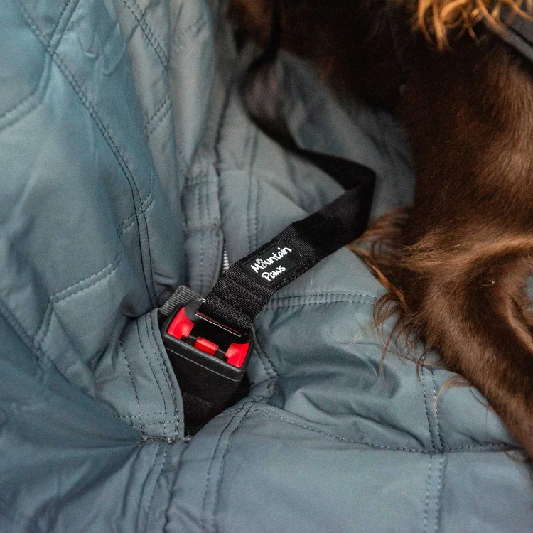 81401 dog seat belt website 5
