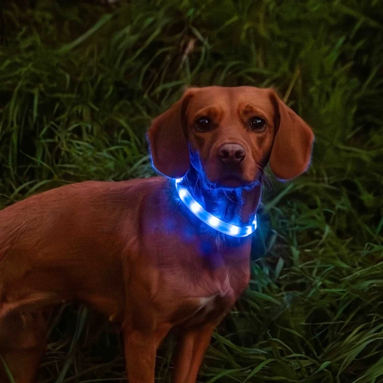 81414 Rechargeable Dog Collar Light 10