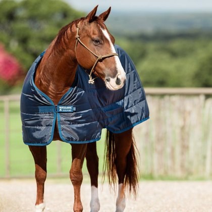 Horseware Liner 100g Horseware Liner 100g