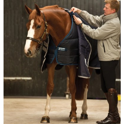 Horseware Liner 100g