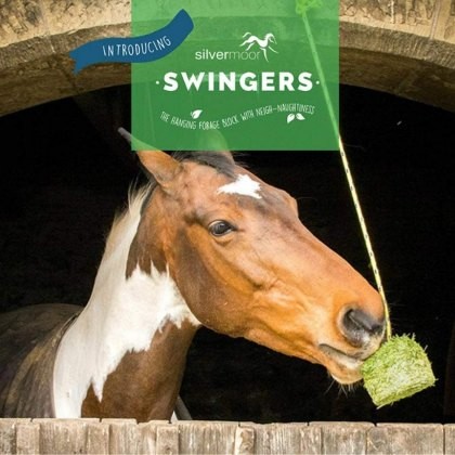 Silvermoor Swinger Silvermoor Swinger