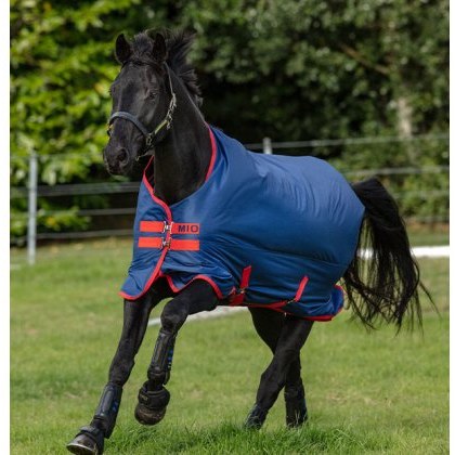 Amigo Mio Turnout Medium Amigo Mio Turnout Medium