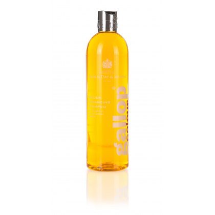Carr & Day & Martin Gallop Colour Enhancing Shampoo - Chestnut & Palomino Carr & Day & Martin Gallop Colour Enhancing Shampoo - Chestnut & Palomino