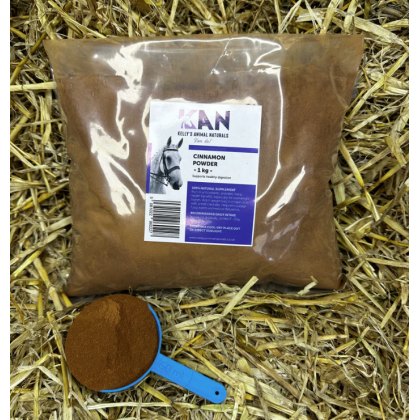 General Health General Health