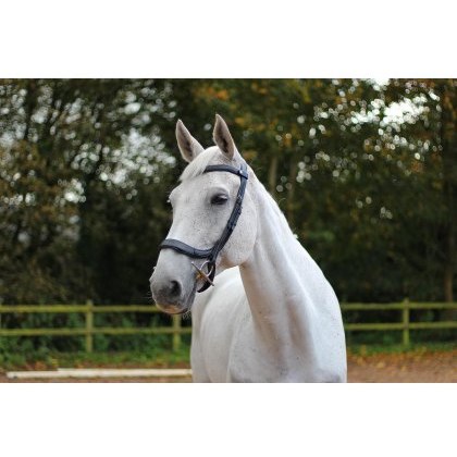 Ecorider Freedom Comfort Bridle Ecorider Freedom Comfort Bridle