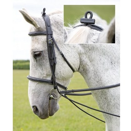 Elastic Training Reins Elastic Training Reins