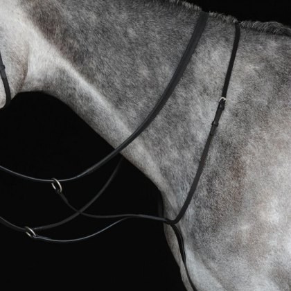 Collegiate Running Martingale IV Collegiate Running Martingale IV