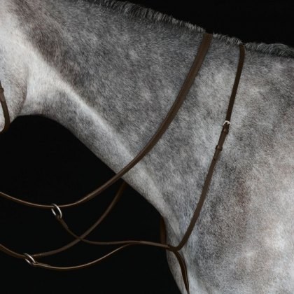 Collegiate Running Martingale IV Collegiate Running Martingale IV
