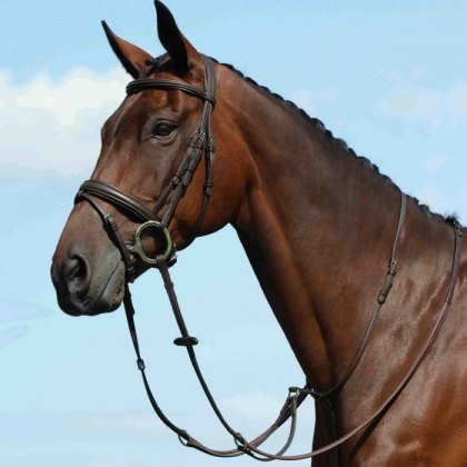 Collegiate Syntovia+ Plain Flat Running Martingale Collegiate Syntovia+ Plain Flat Running Martingale